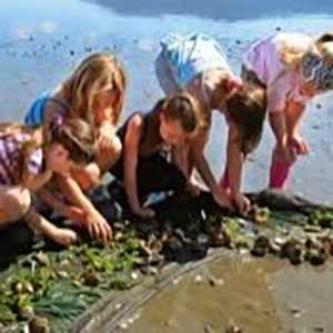 Aire familiale : Exploration en nature